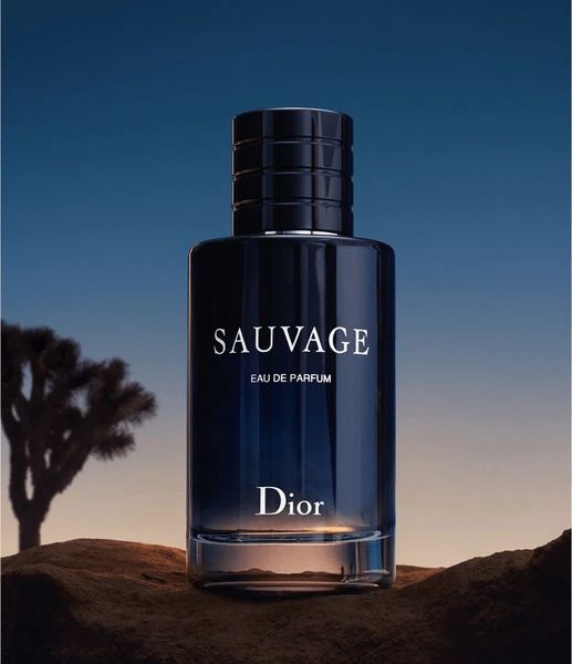 pack of 2 Dior Sauvage Edp 100 Ml Sauvage Perfume Long-lasting Fragrance For Daily Wear And Special Occasions
